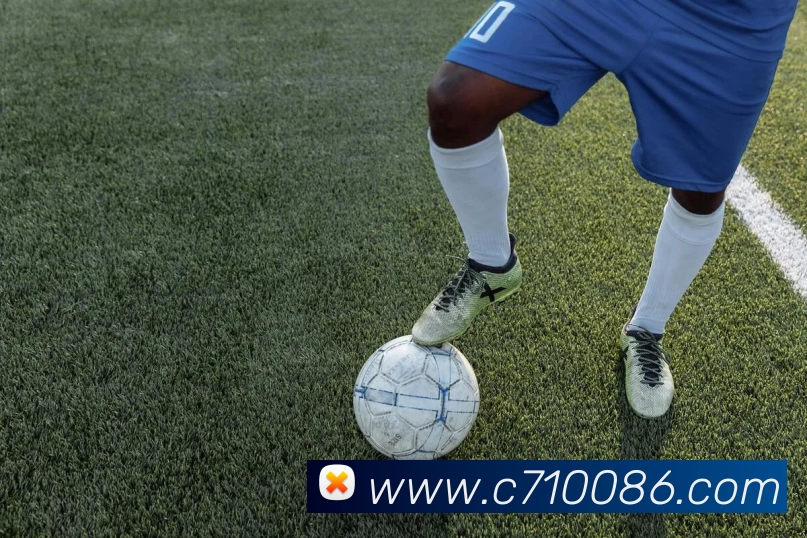 C7娱乐平台生态图